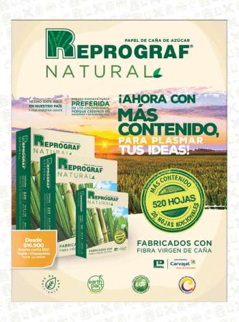Catálogo {store}