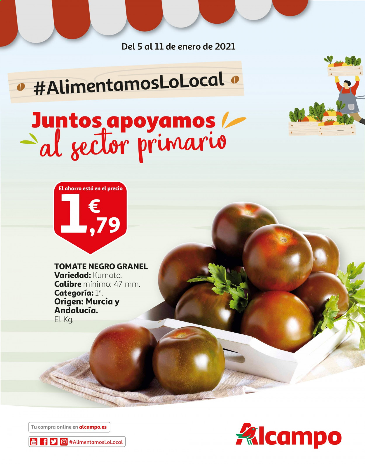 Folleto Alcampo - 05/01/21 - 11/01/21. Página 1