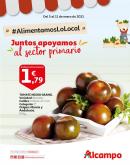 Folleto actual Alcampo - 5.1.2021 - 11.1.2021.