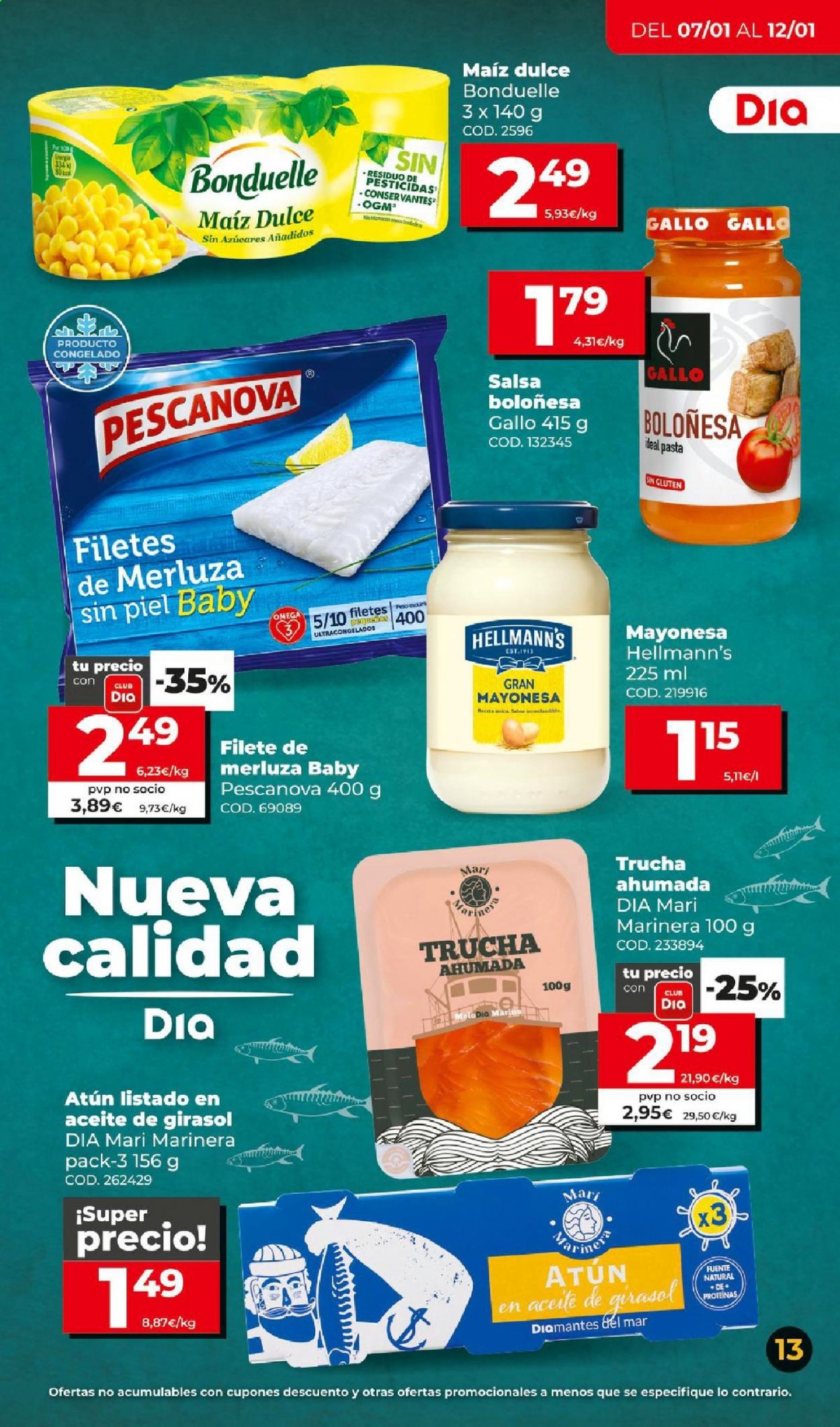 Folleto Dia - 07/01/21 - 12/01/21. Página 13
