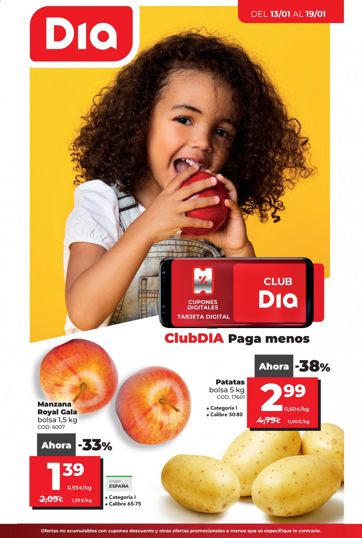 Folleto Dia - 13/01/21 - 19/01/21. Página 1
