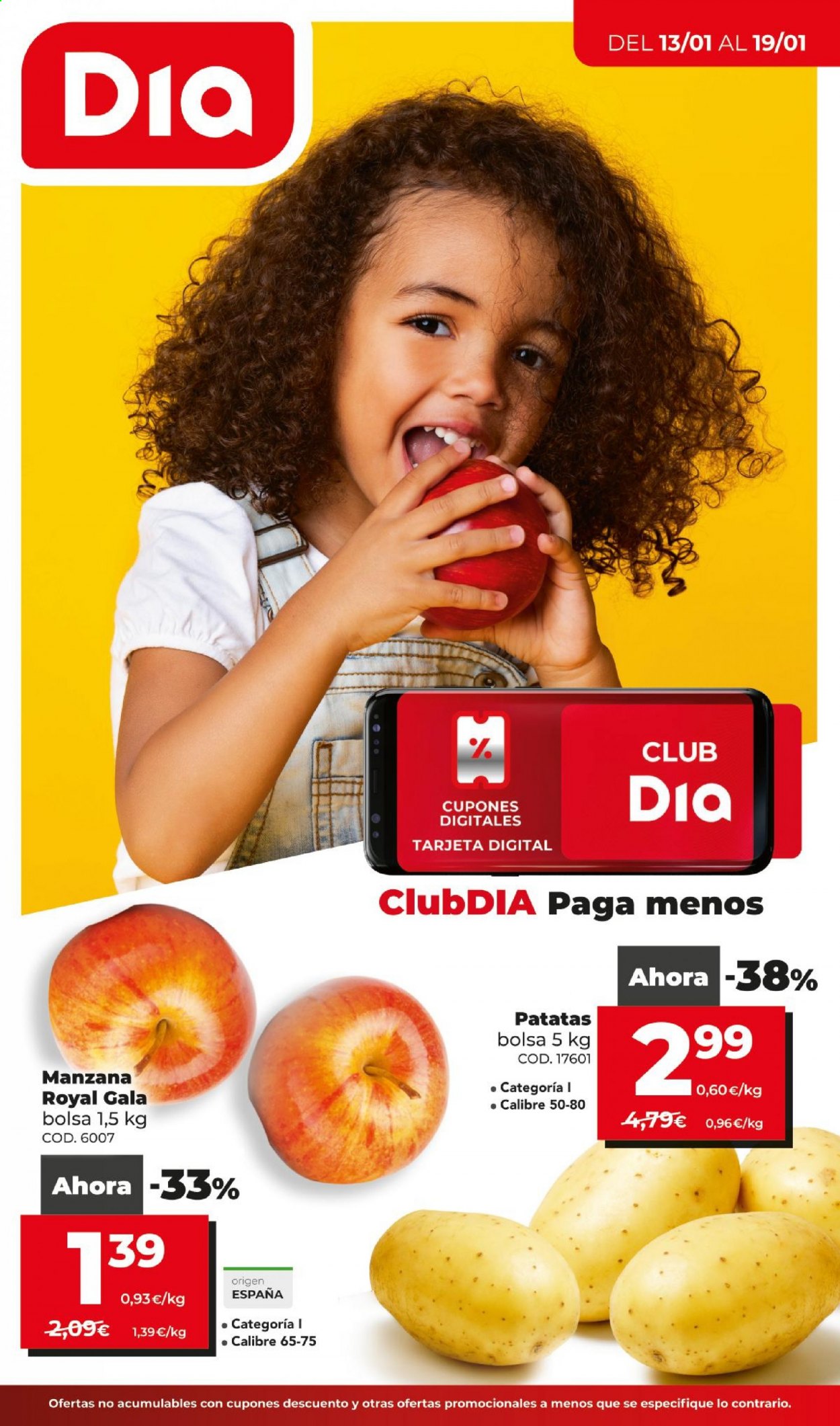 Folleto Dia - 13/01/21 - 19/01/21. Página 1