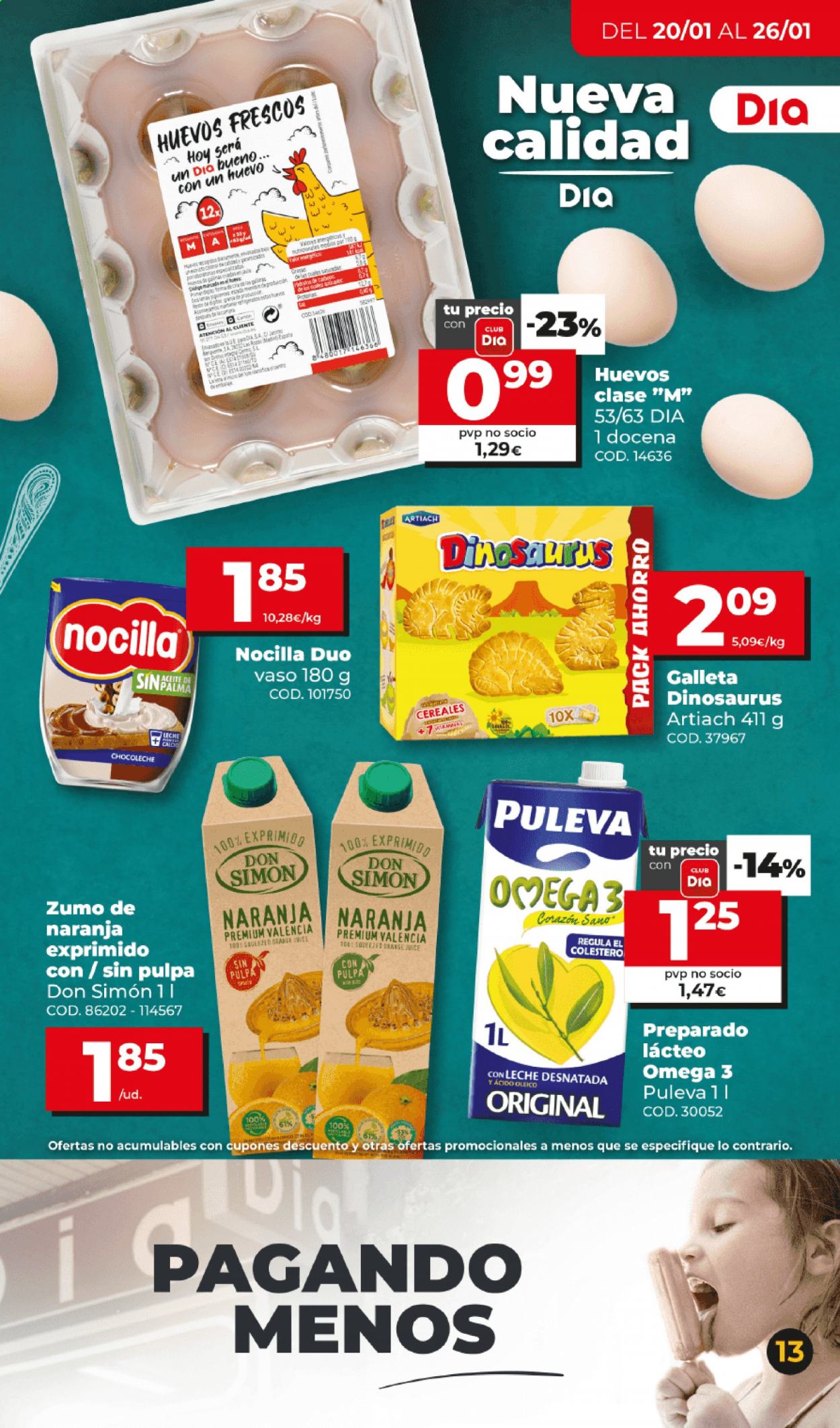 Folleto Dia - 20/01/21 - 26/01/21. Página 13