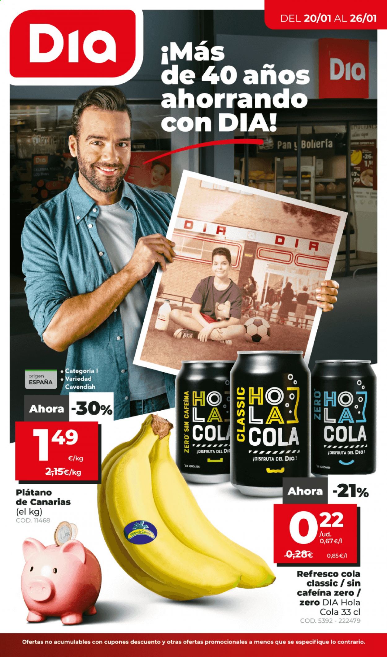 Folleto Dia - 20/01/21 - 26/01/21. Página 1