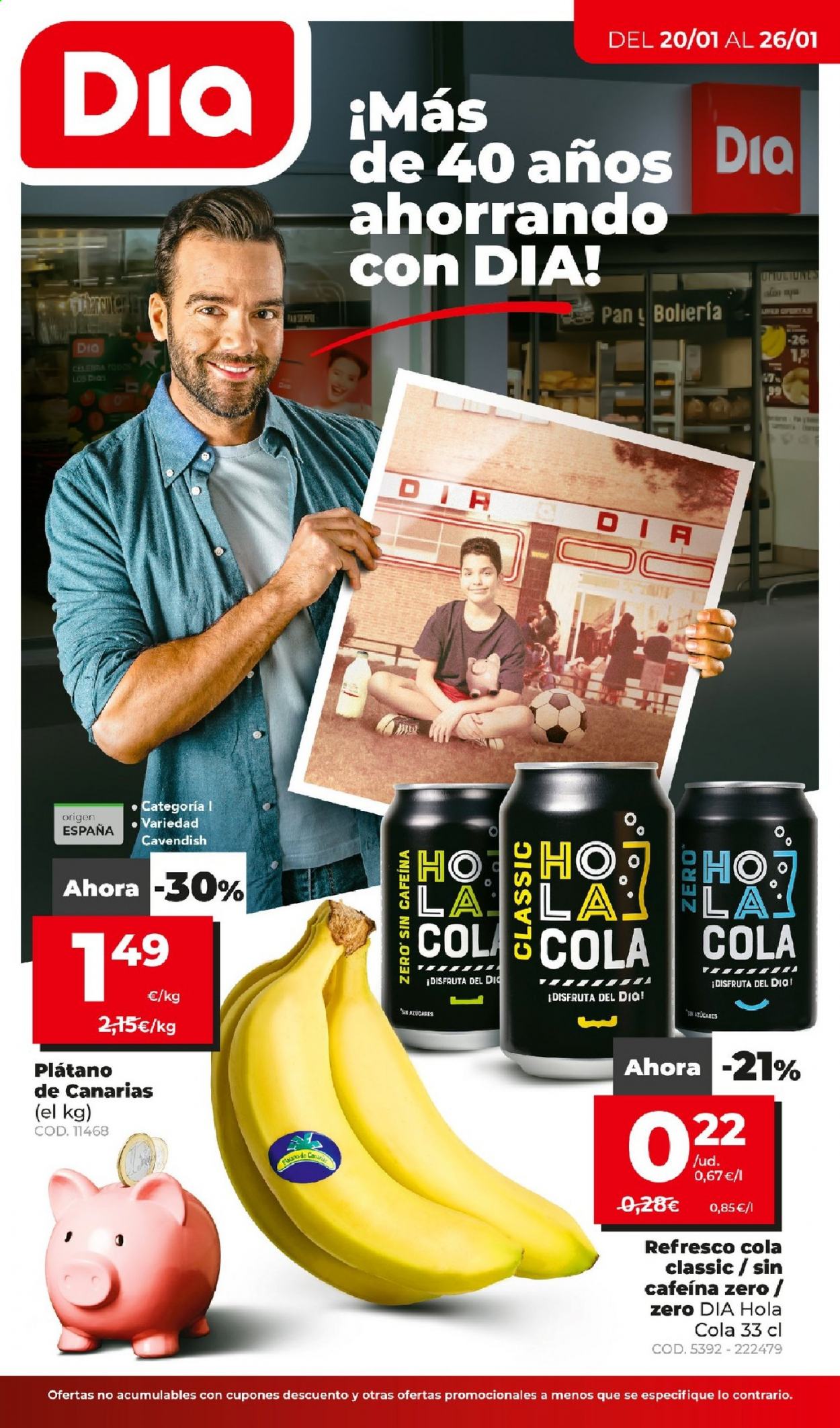Folleto Dia - 20/01/21 - 26/01/21. Página 1