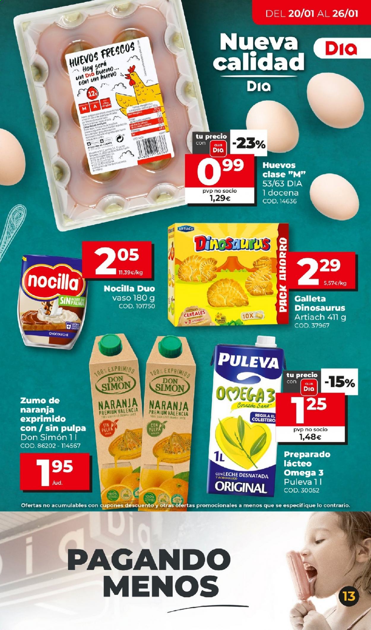 Folleto Dia - 20/01/21 - 26/01/21. Página 13