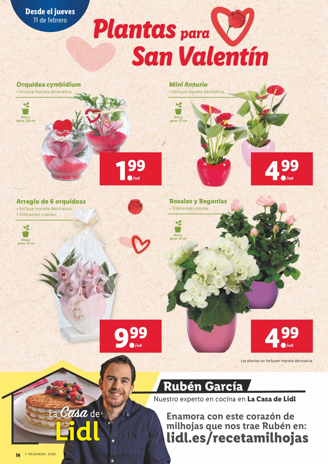 Folleto Lidl - 11/02/21 - 17/02/21. Página 14
