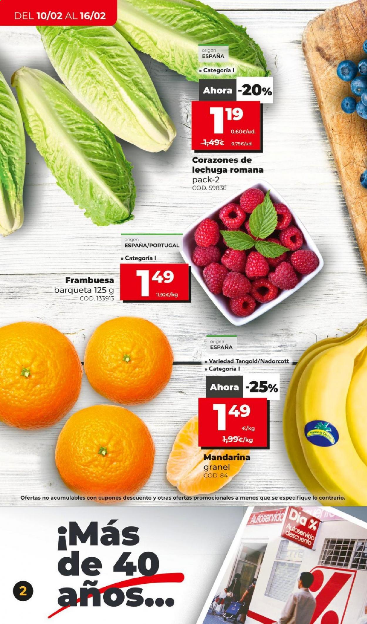 Folleto Dia - 10/02/21 - 16/02/21. Página 2