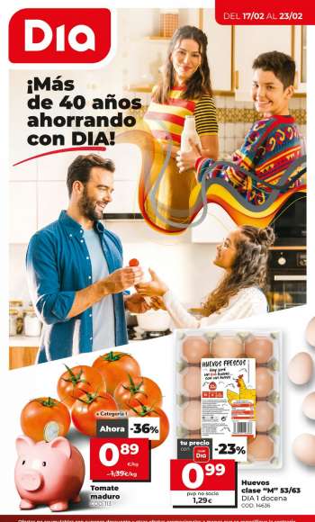 Folleto actual Dia - 17.2.2021 - 23.2.2021.
