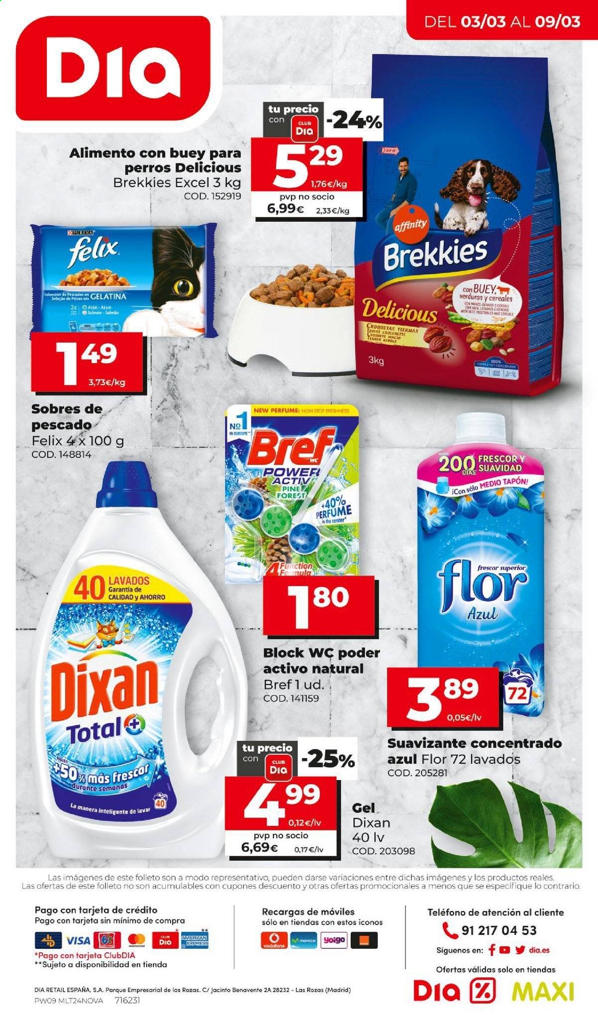 Folleto Dia - 03/03/21 - 09/03/21. Página 12