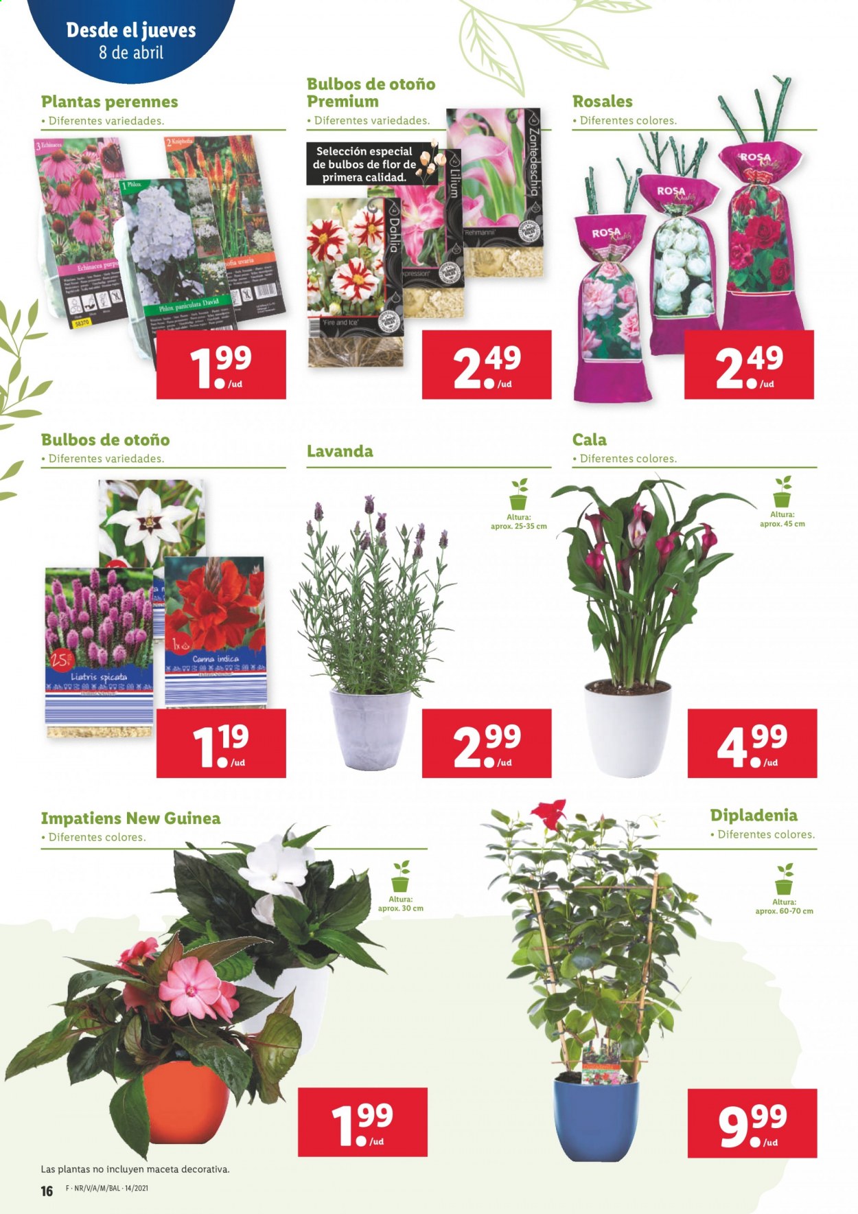 Folleto Lidl - 08/04/21 - 14/04/21. Página 16
