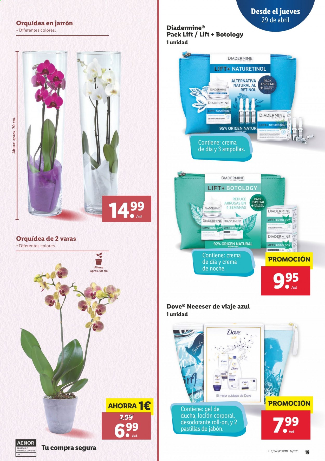 Folleto Lidl - 29/04/21 - 05/05/21. Página 19