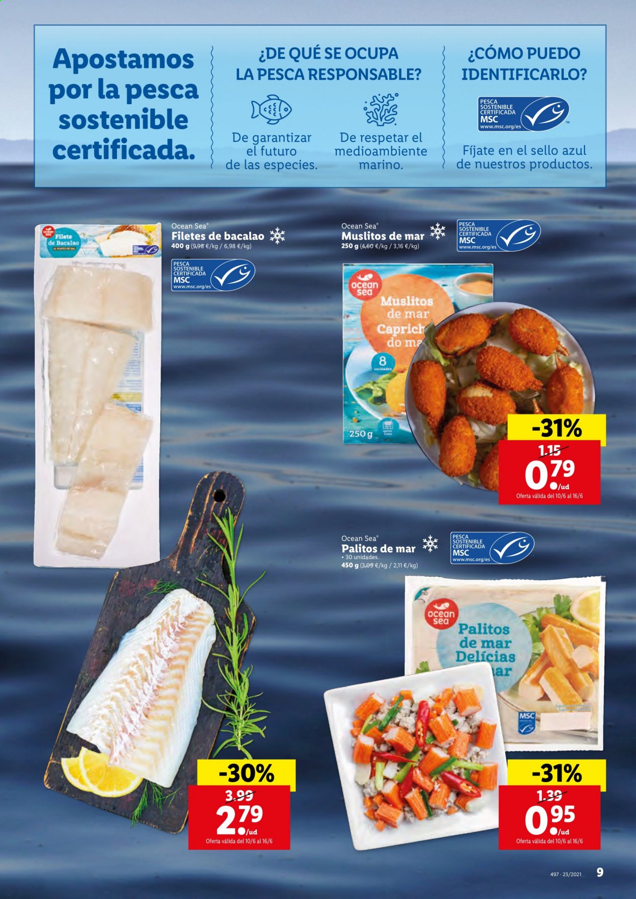 Folleto Lidl - 10/06/21 - 10/06/21. Página 9