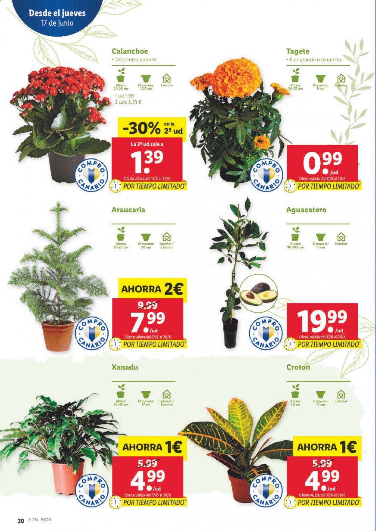 Folleto Lidl - 17/06/21 - 23/06/21. Página 20