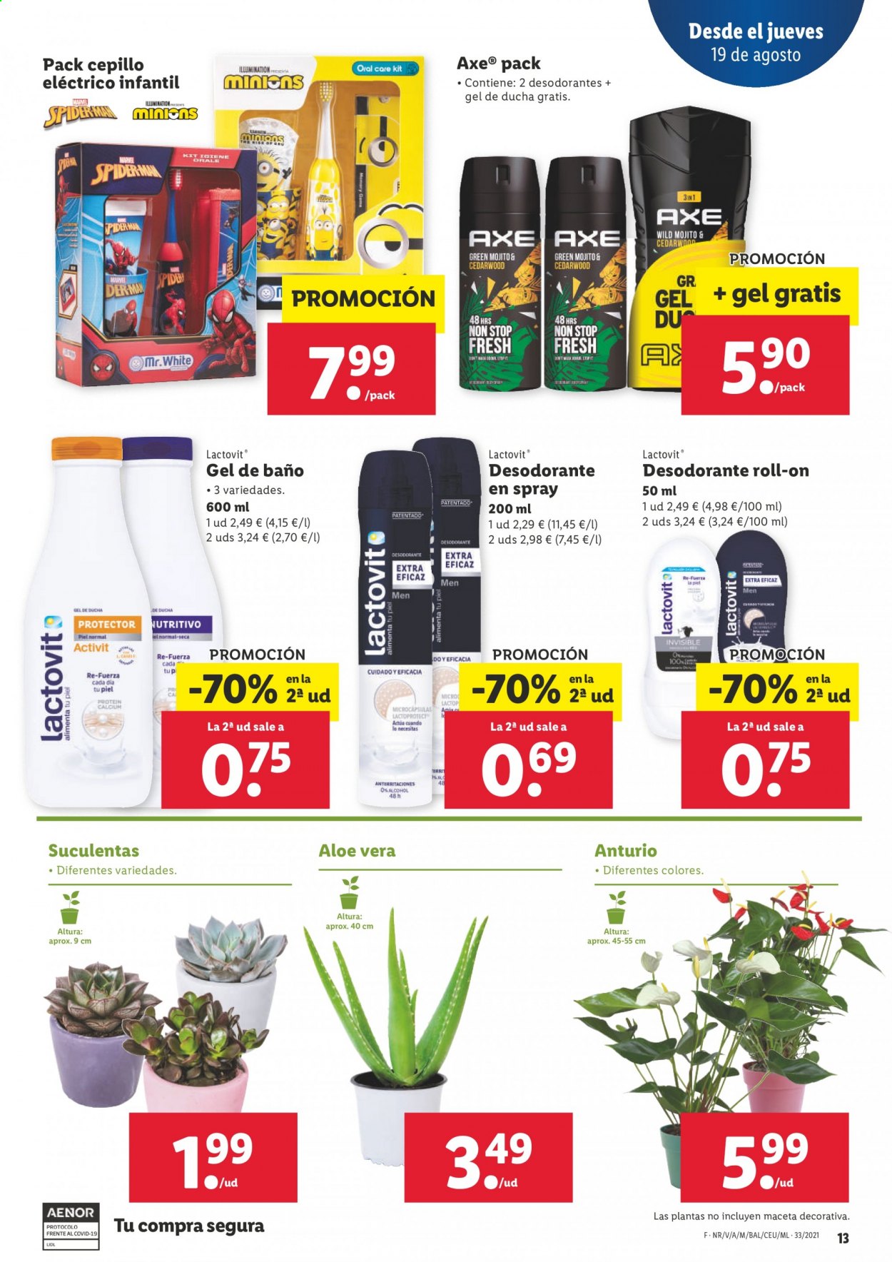 Folleto Lidl - 19/08/21 - 25/08/21. Página 13