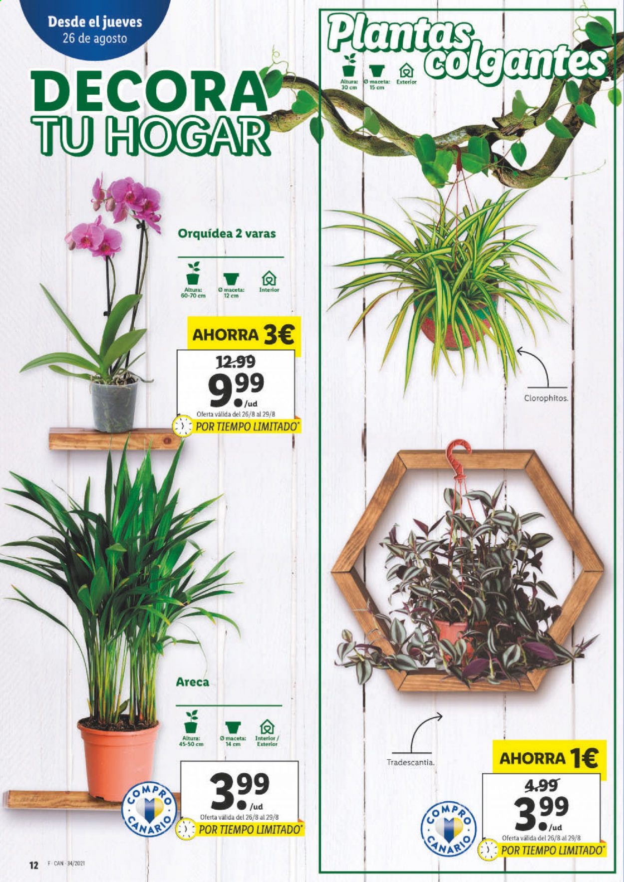 Folleto Lidl - 26/08/21 - 01/09/21. Página 16