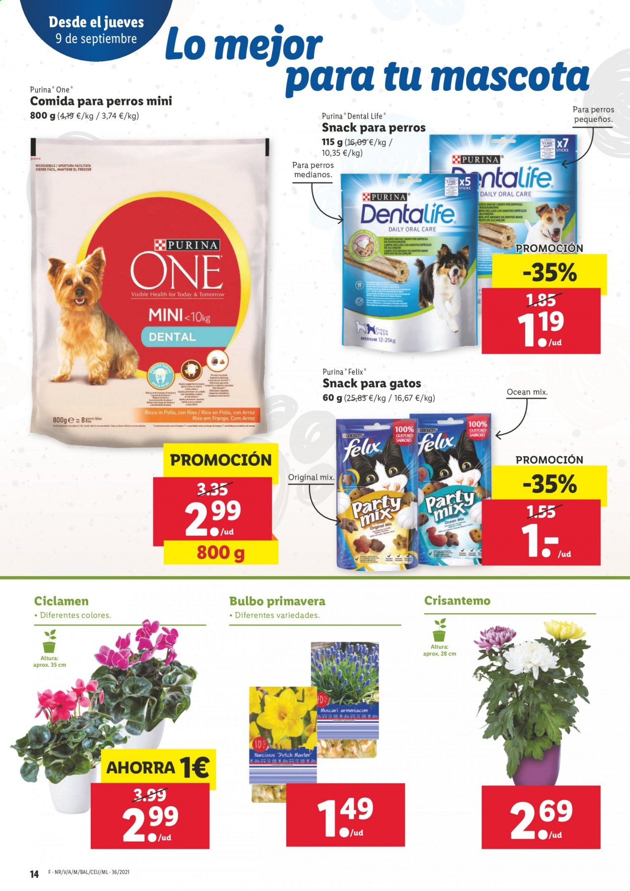 Folleto Lidl - 09/09/21 - 15/09/21. Página 14