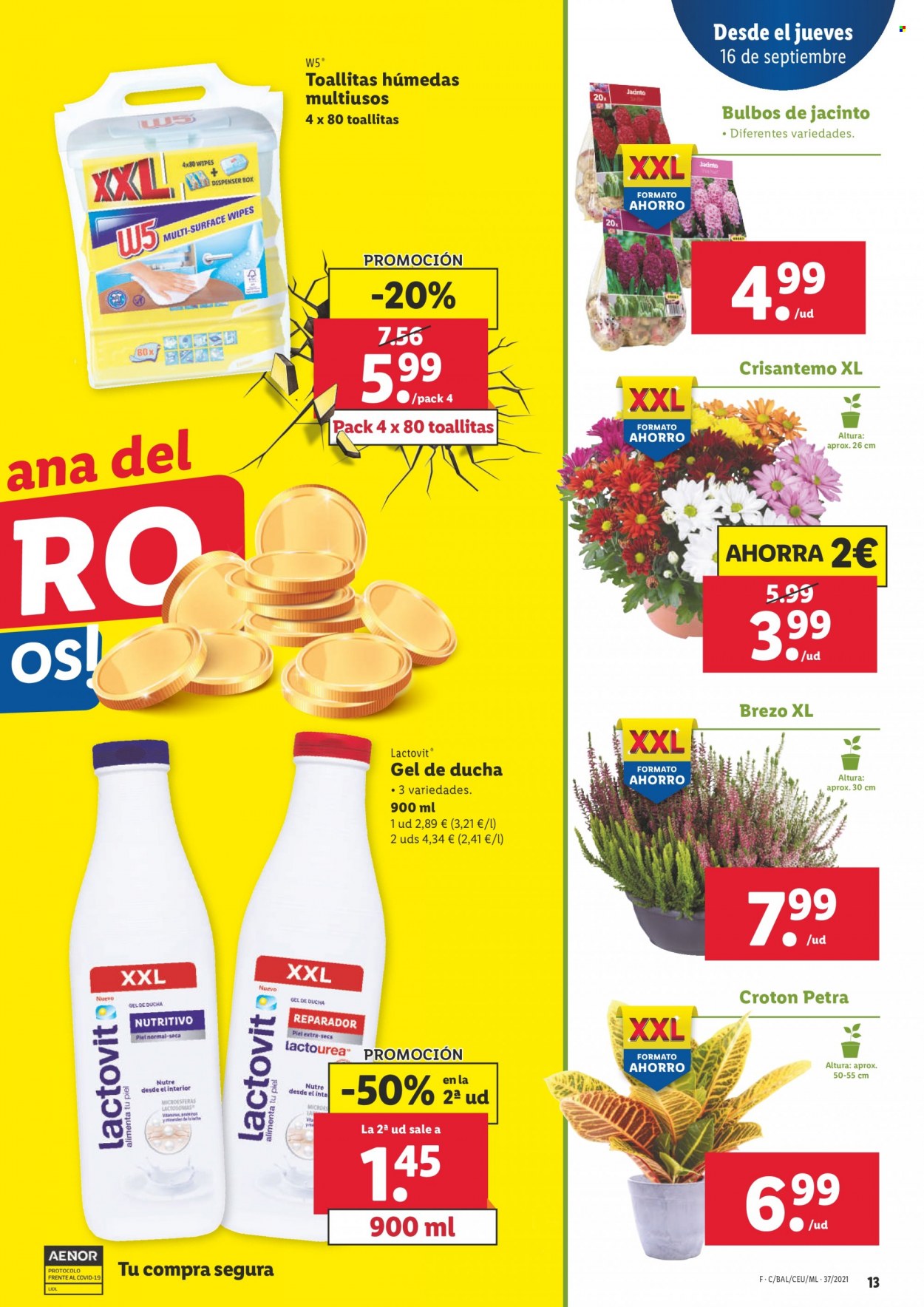 Folleto Lidl - 16/09/21 - 22/09/21. Página 13