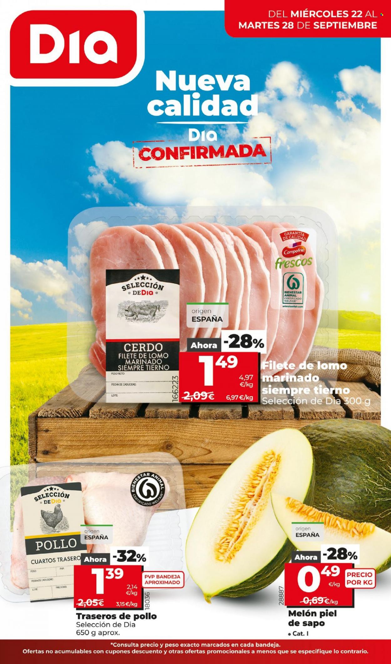 Folleto Dia - 22/09/21 - 28/09/21. Página 1