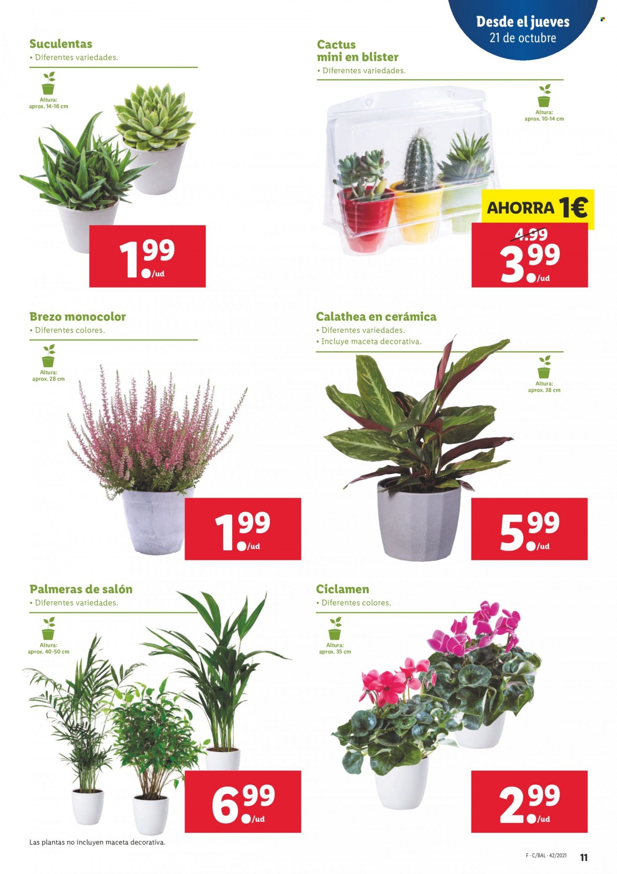 Folleto Lidl - 21/10/21 - 27/10/21. Página 11