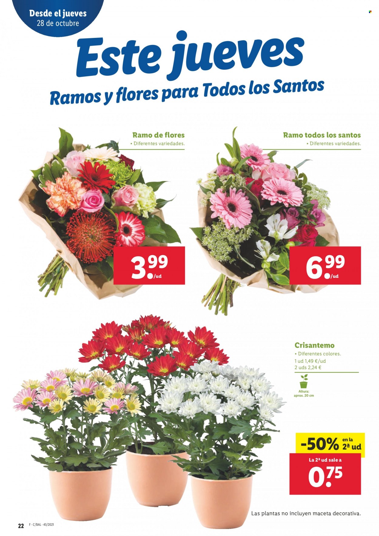 Folleto Lidl - 28/10/21 - 03/11/21. Página 22