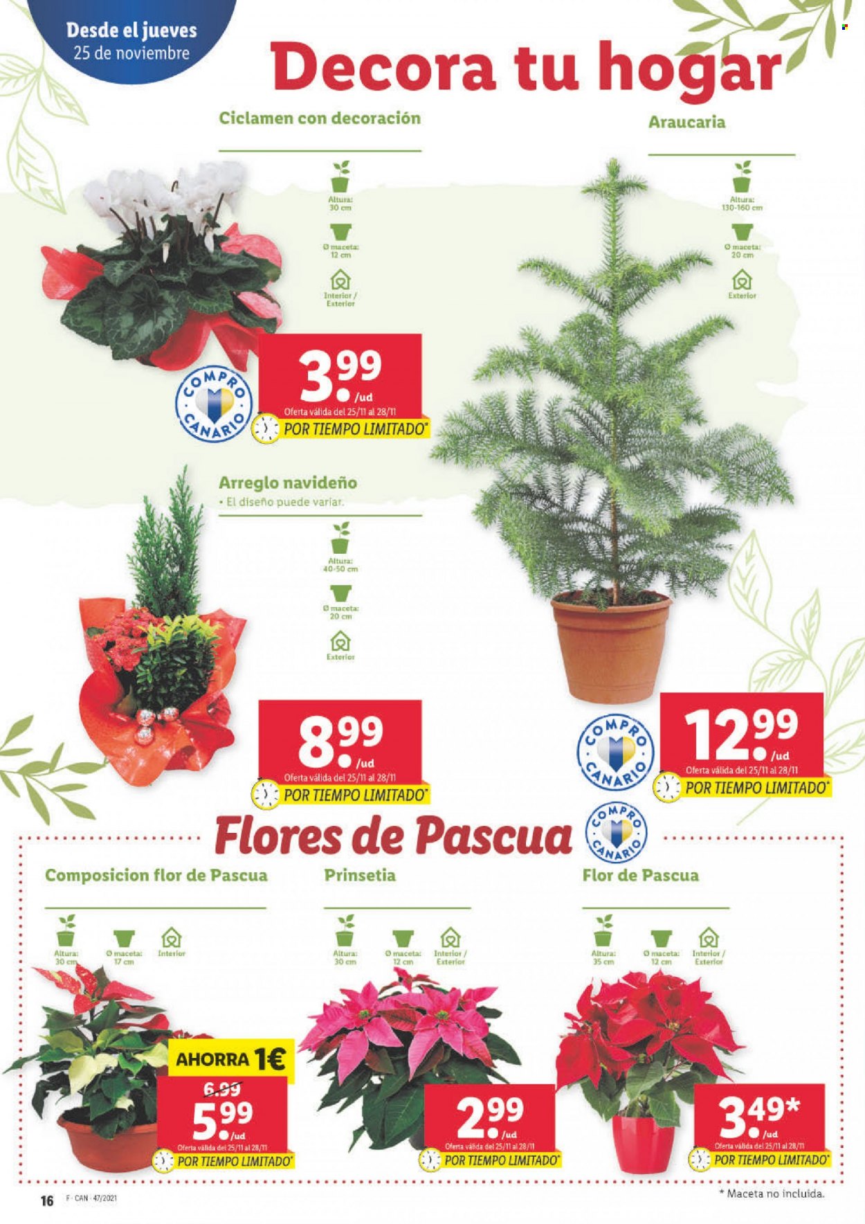 Folleto Lidl - 25/11/21 - 01/12/21. Página 18