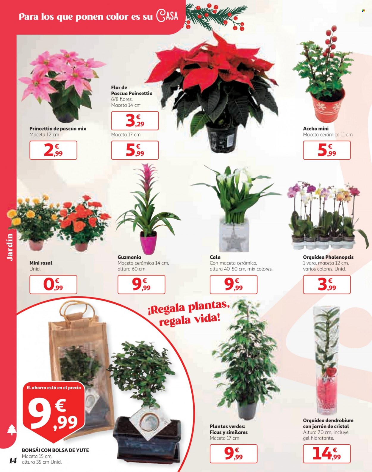 Folleto Alcampo - 30/11/21 - 19/12/21. Página 14