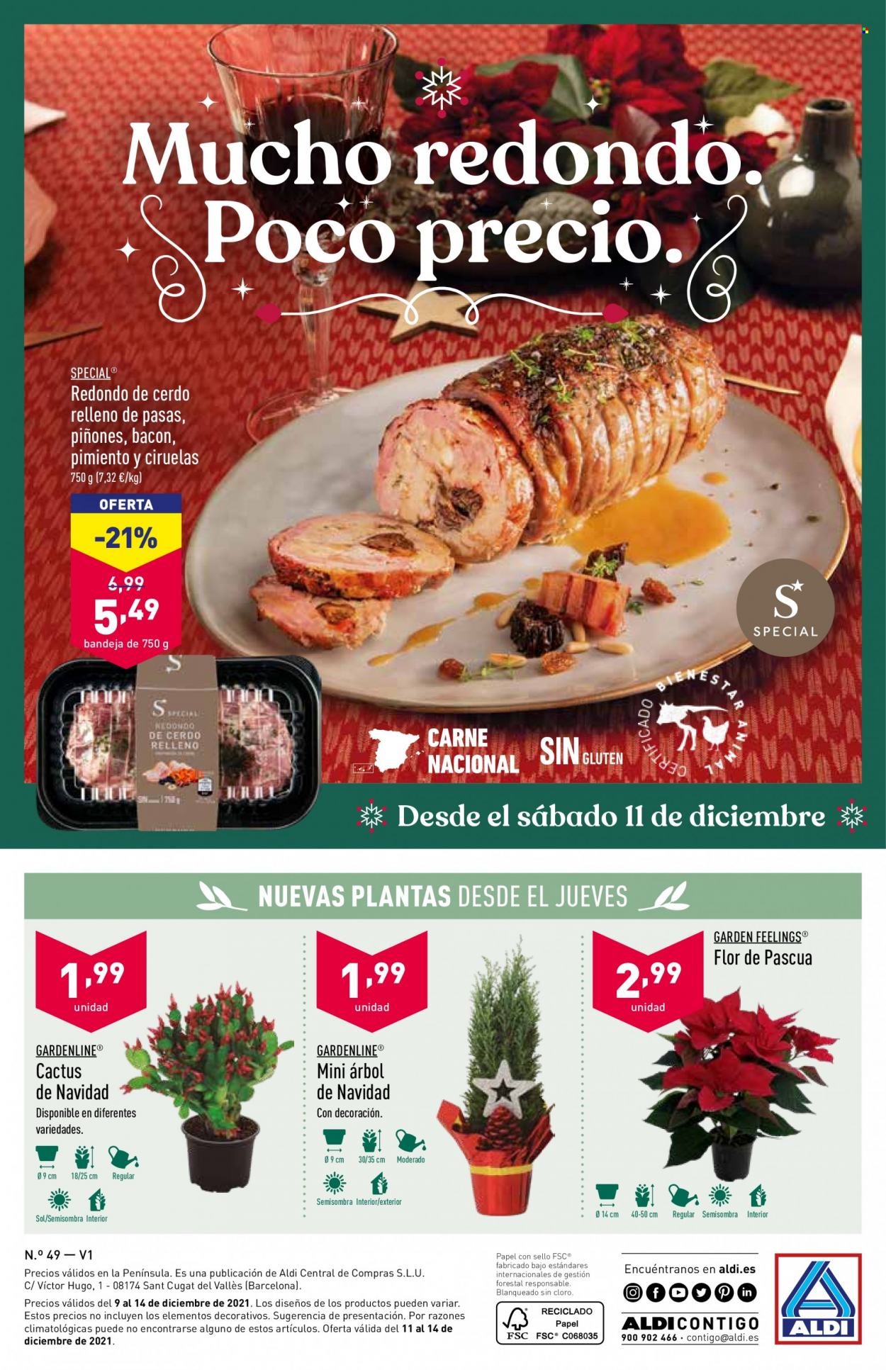 Folleto Aldi - 07/12/21 - 14/12/21. Página 32