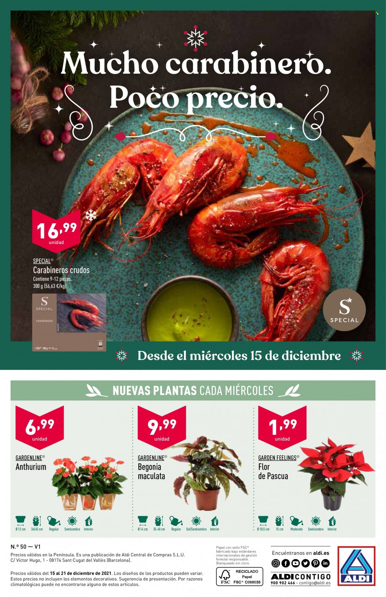 Folleto Aldi - 15/12/21 - 21/12/21. Página 32