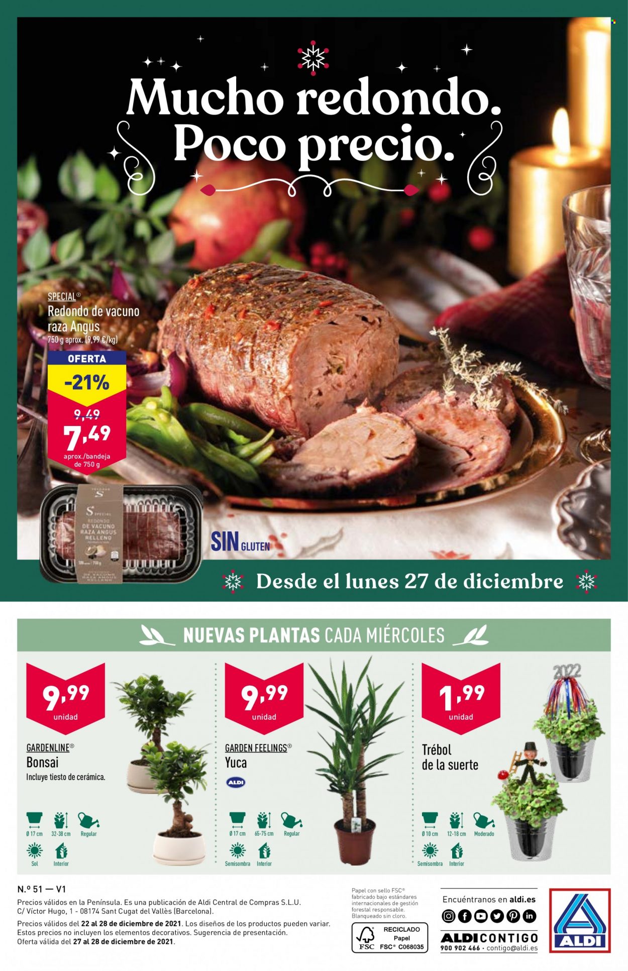 Folleto Aldi - 22/12/21 - 28/12/21. Página 32