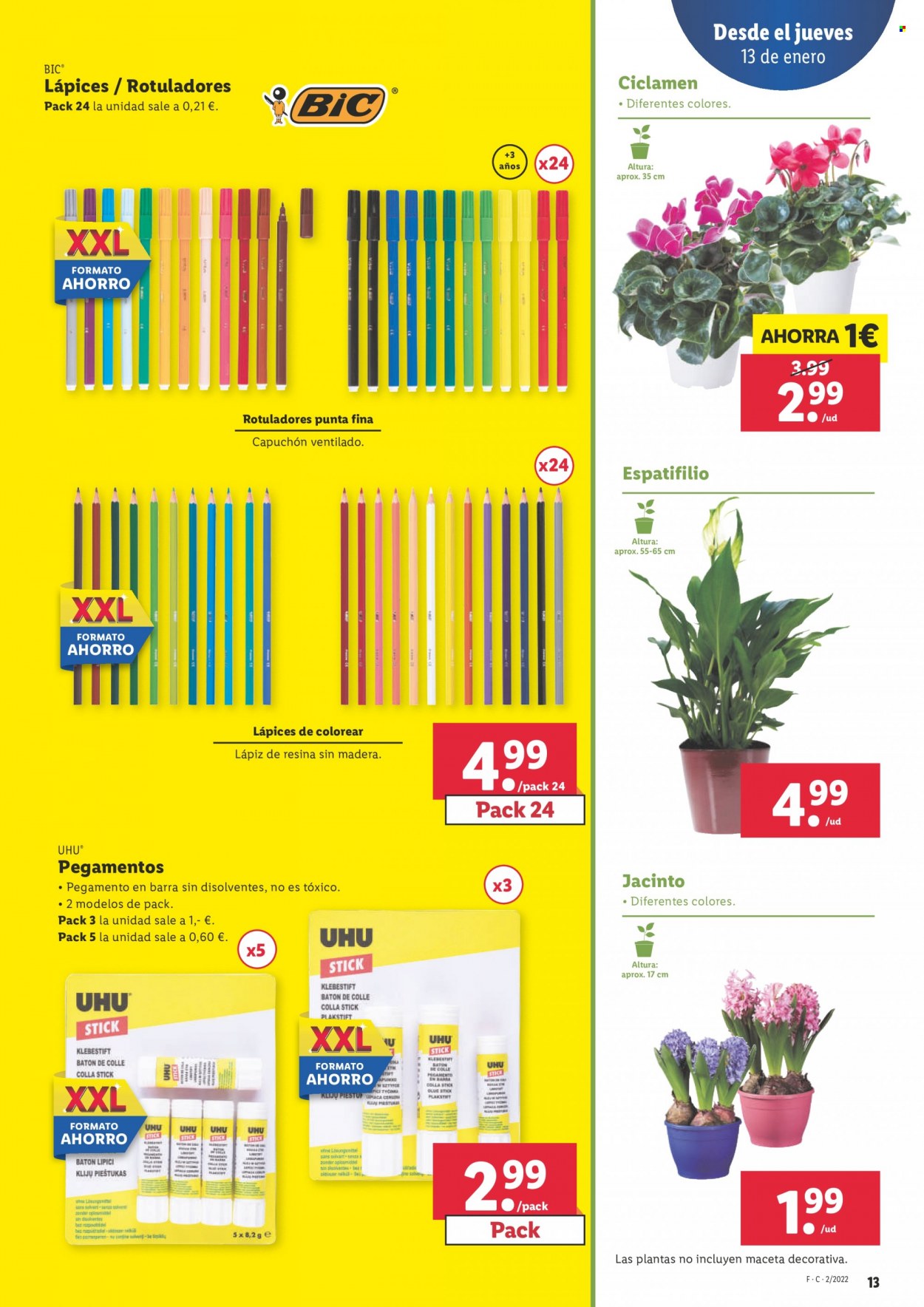 Folleto Lidl - 13/01/22 - 19/01/22. Página 13