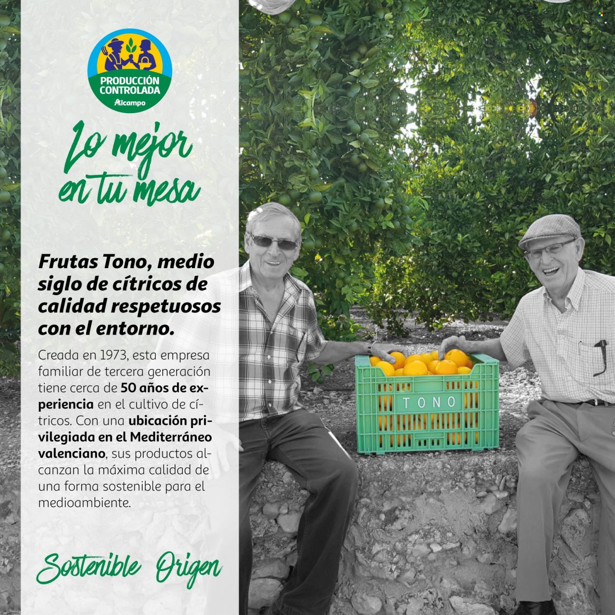 Folleto Alcampo - 13/01/22 - 28/02/22. Página 9