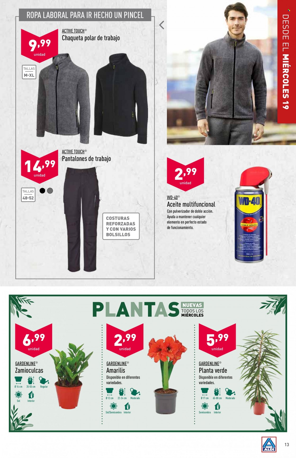 Folleto Aldi - 19/01/22 - 25/01/22. Página 13