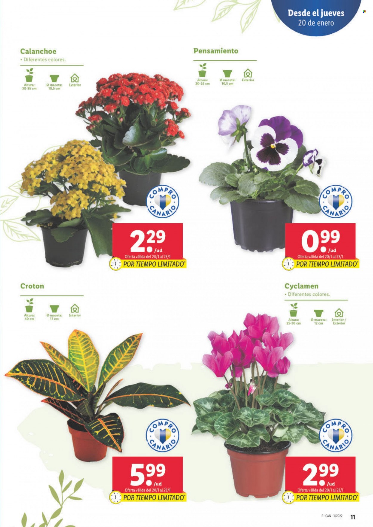 Folleto Lidl - 20/01/22 - 26/01/22. Página 13