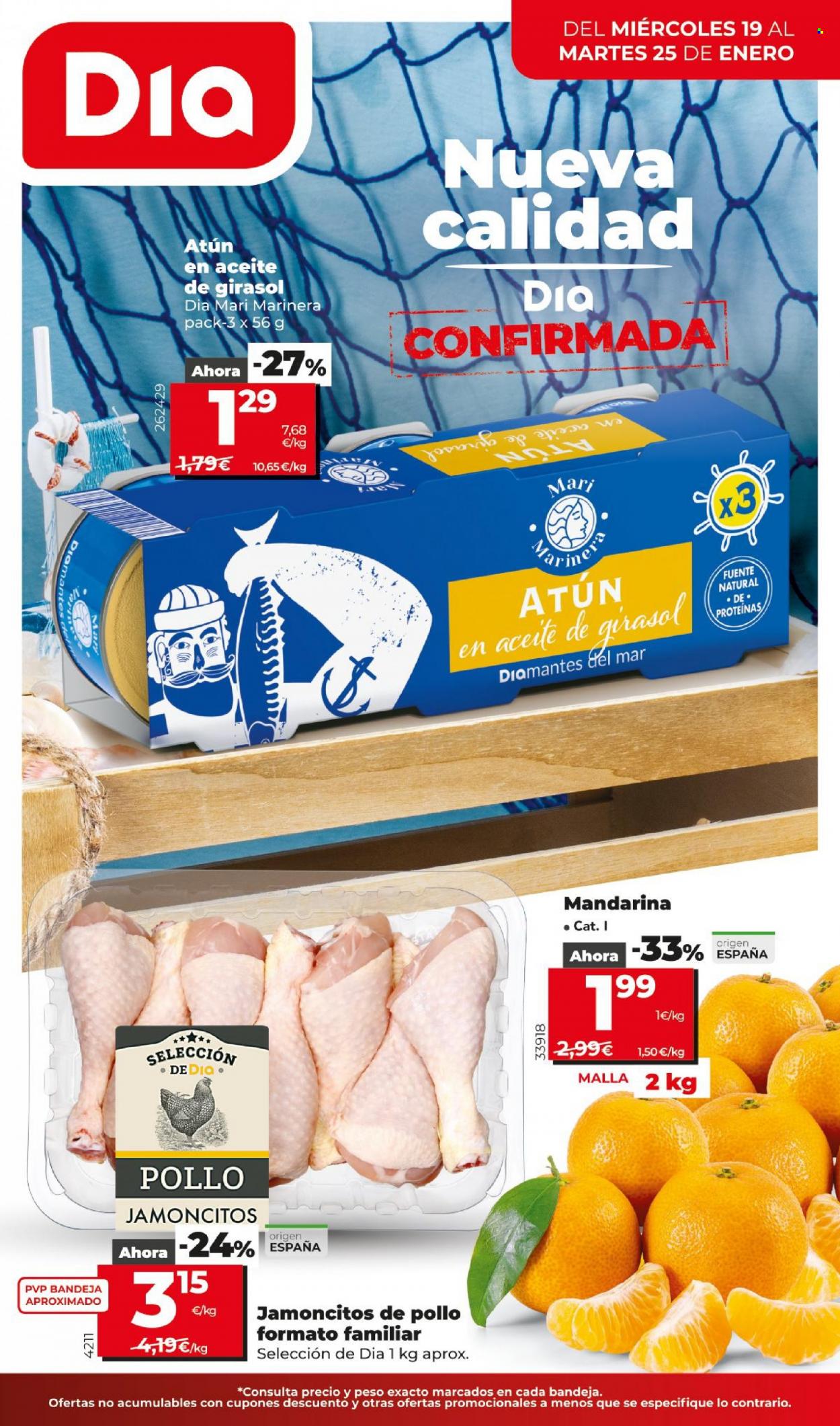 Folleto Dia - 19/01/22 - 25/01/22. Página 1
