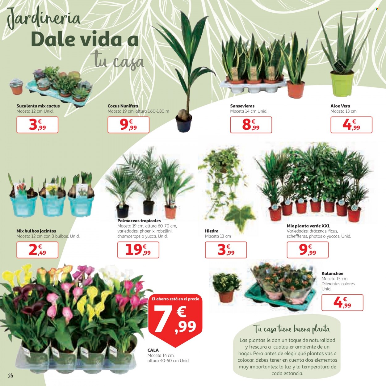 Folleto Alcampo - 24/01/22 - 13/02/22. Página 26