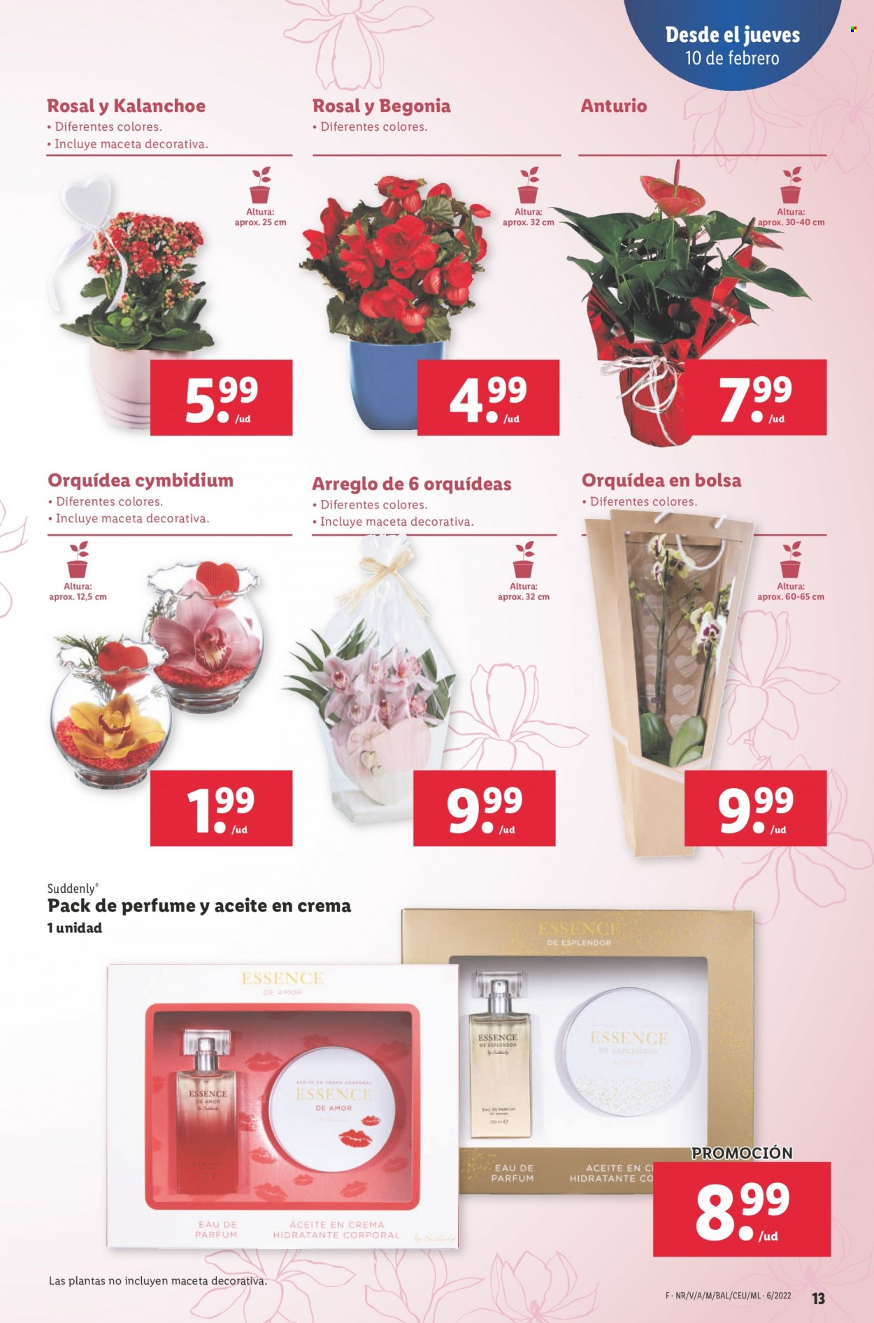 Folleto Lidl - 10/02/22 - 16/02/22. Página 13