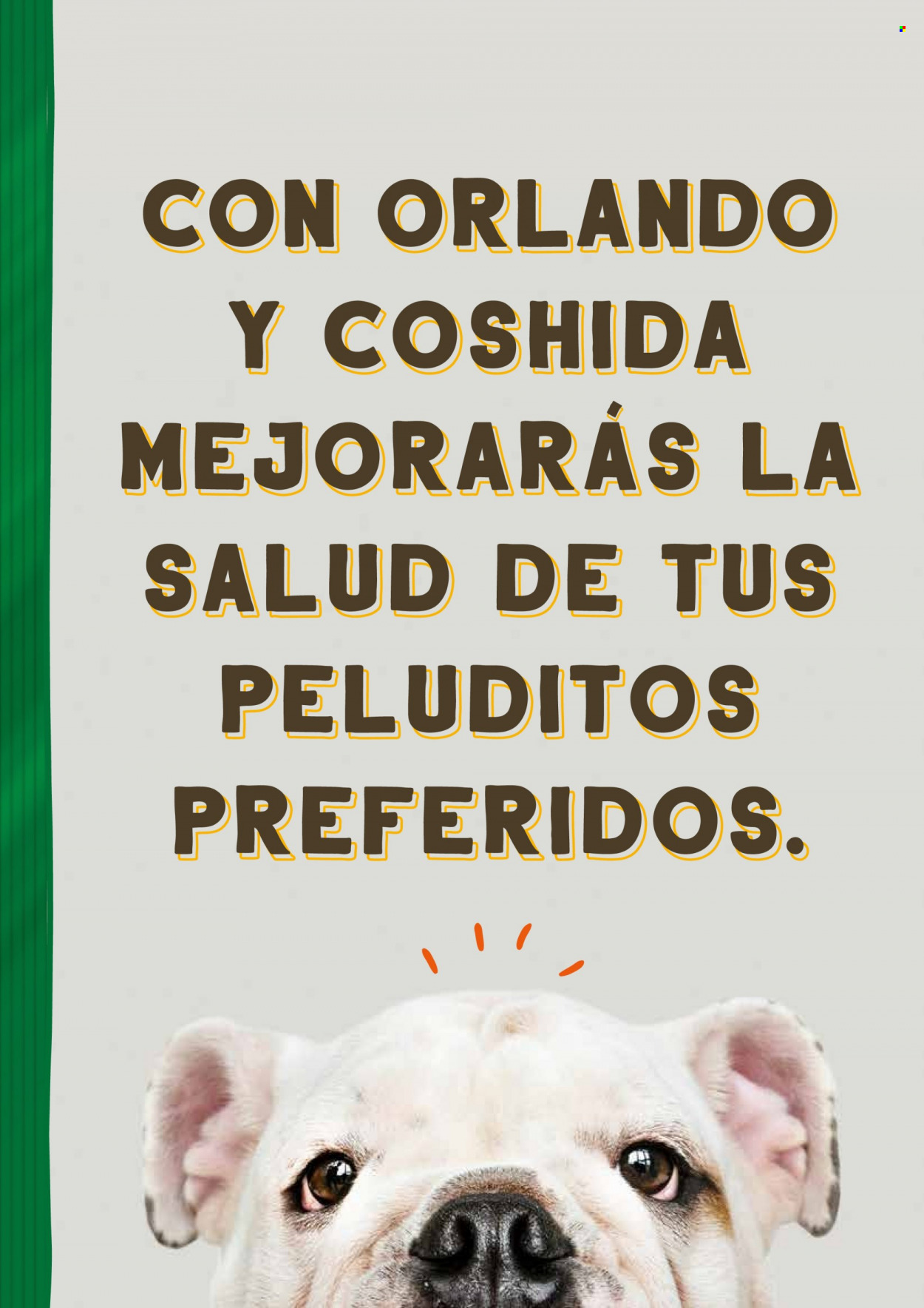 Folleto Lidl. Página 2