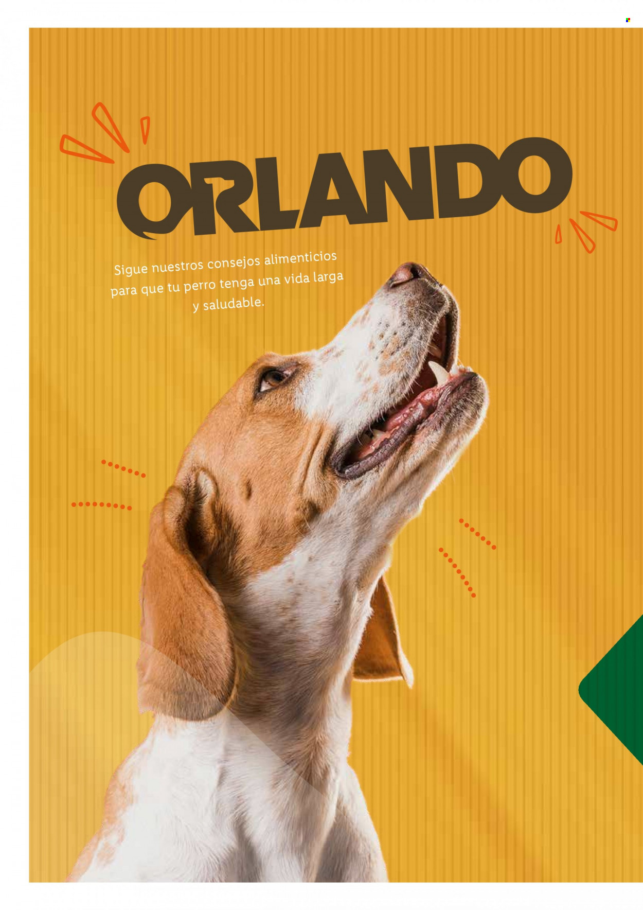 Folleto Lidl. Página 6
