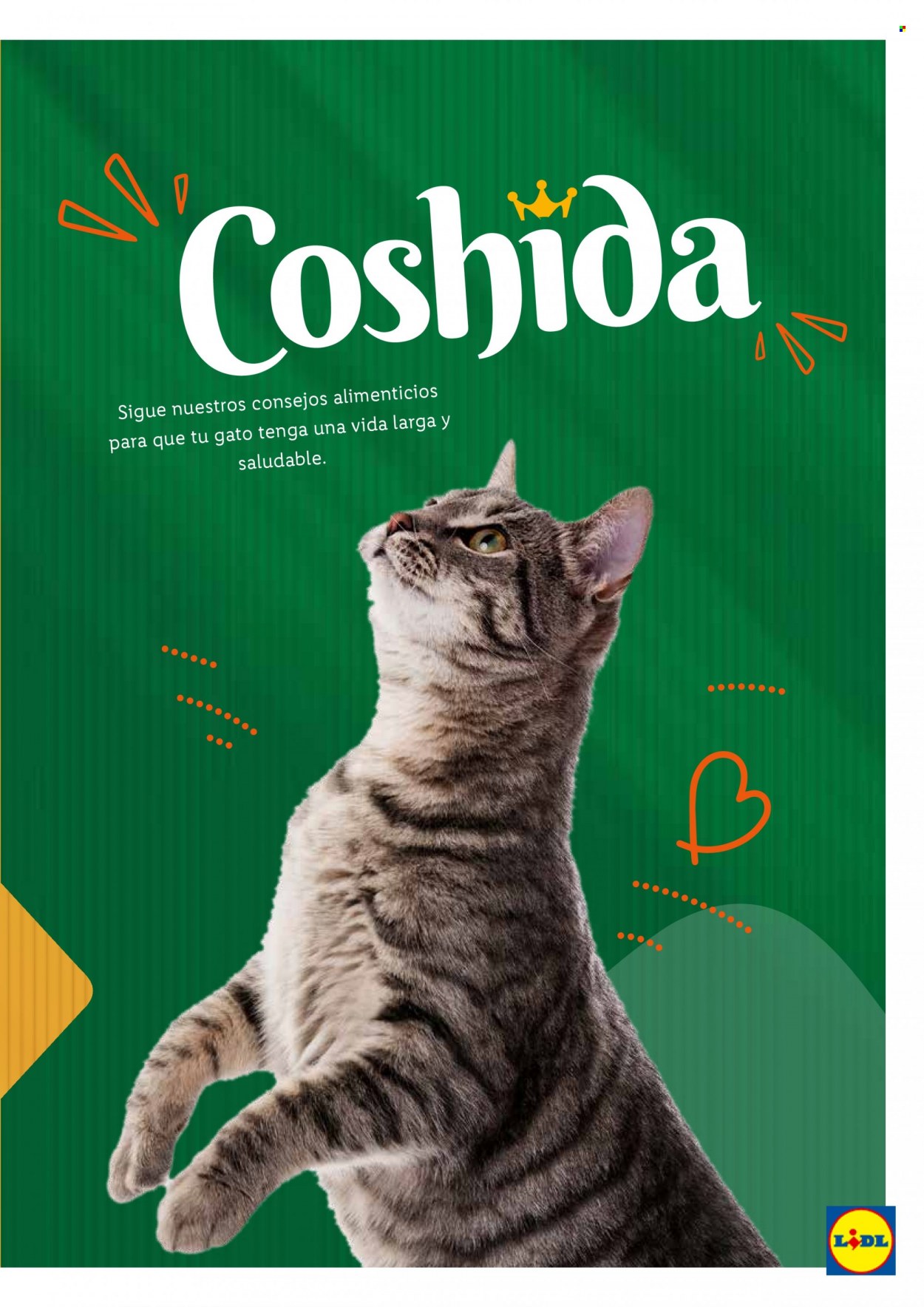 Folleto Lidl. Página 19