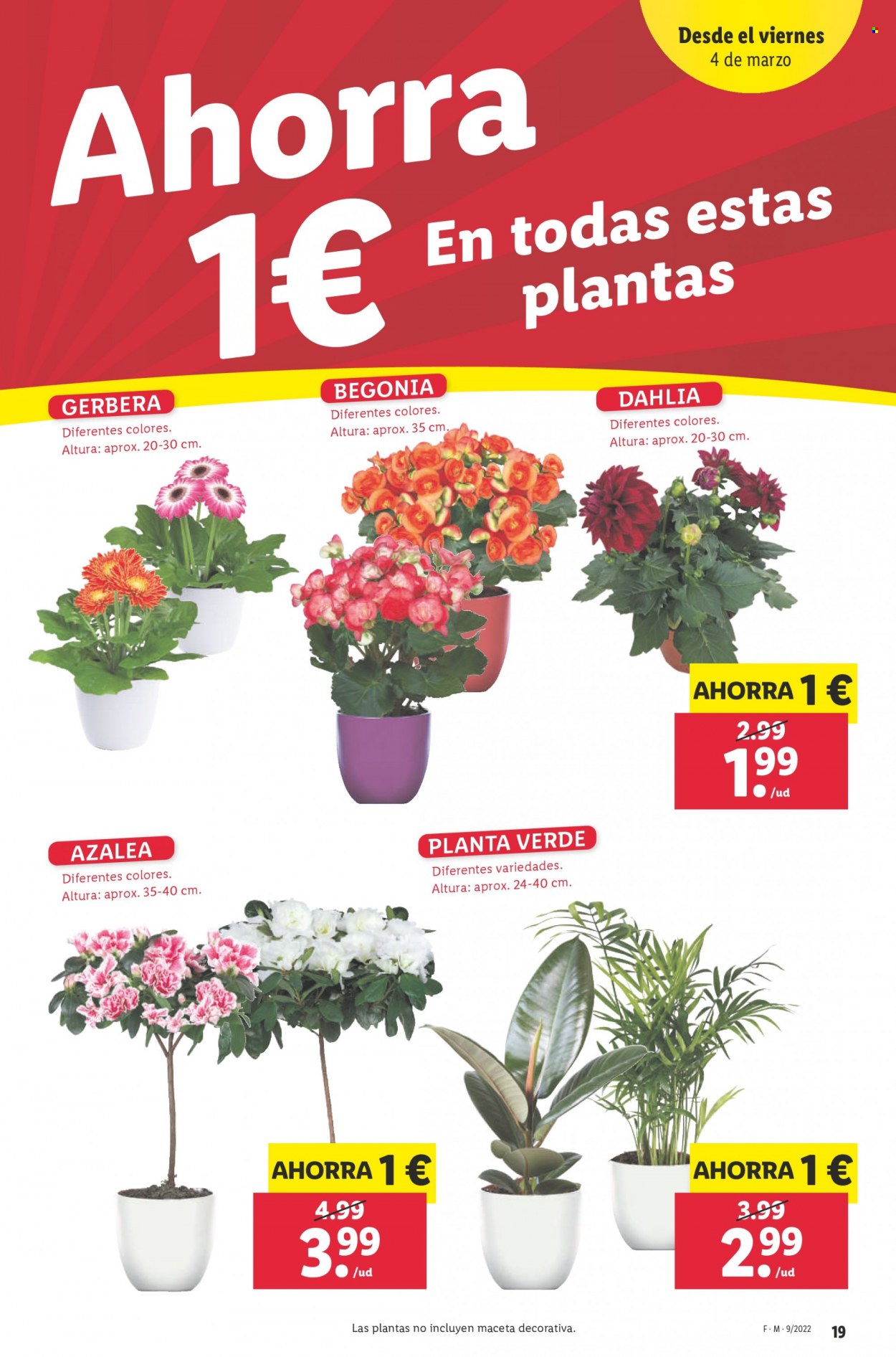 Folleto Lidl - 03/03/22 - 09/03/22. Página 19