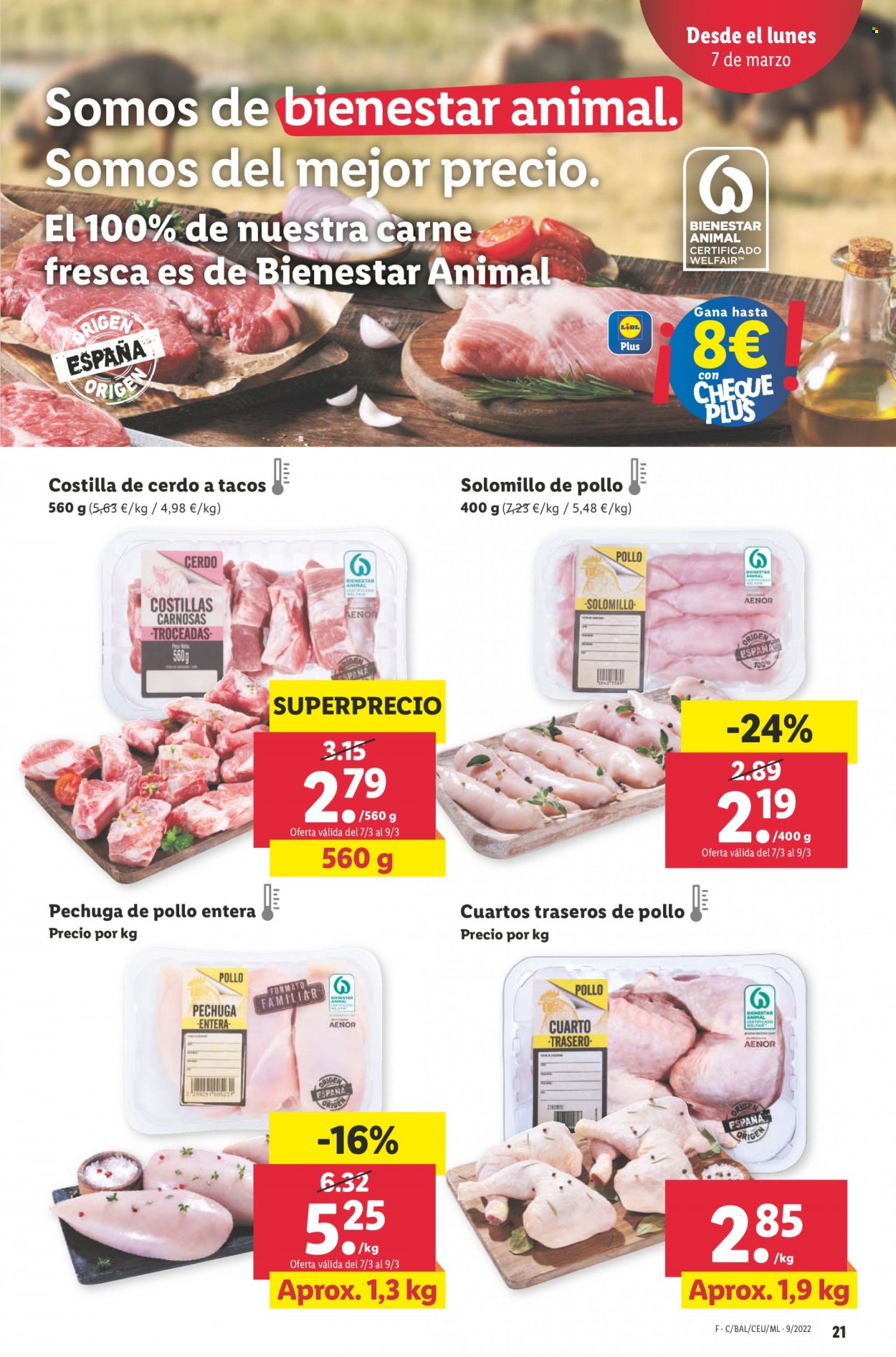 Folleto Lidl - 03/03/22 - 09/03/22. Página 21
