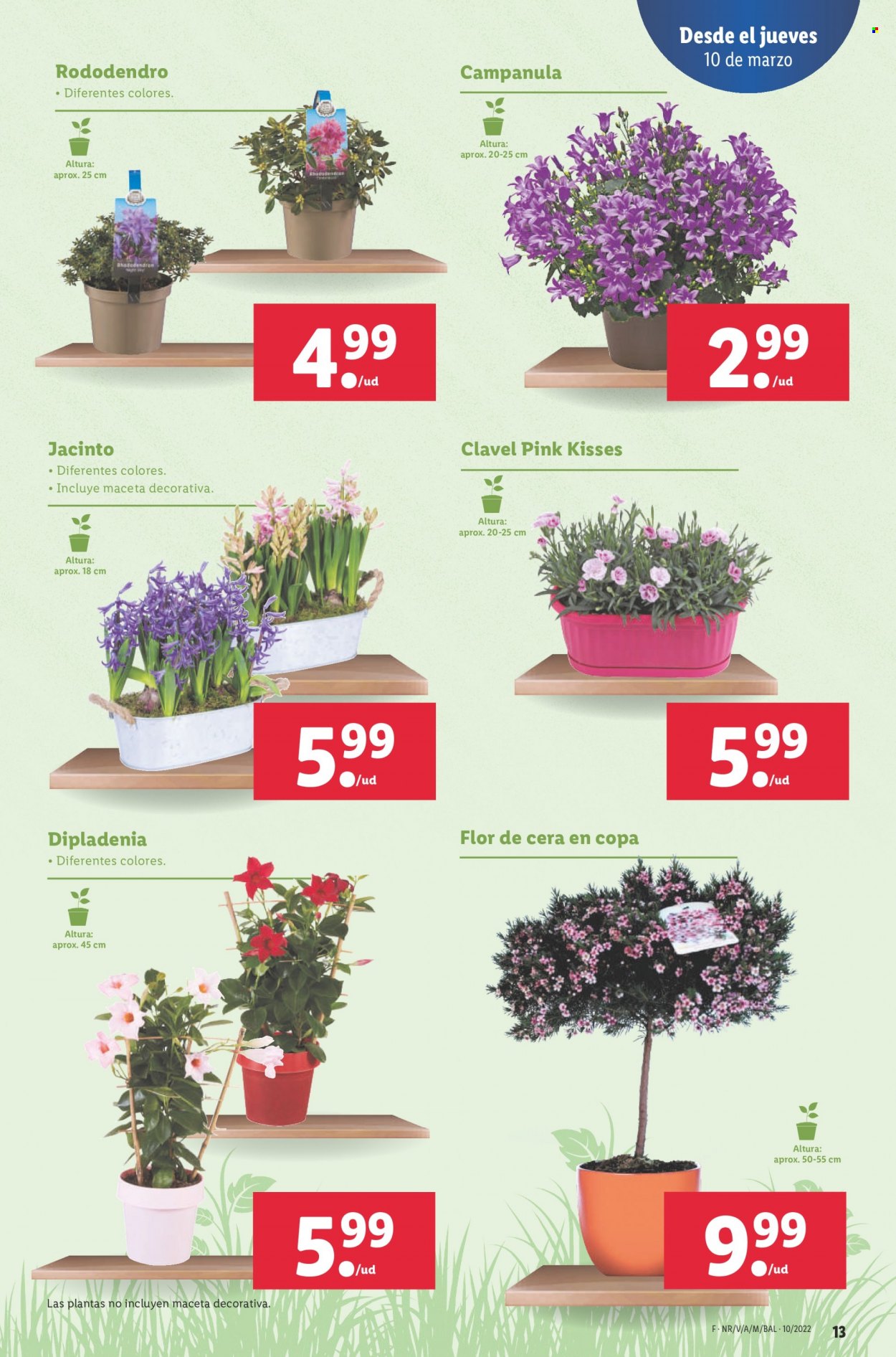 Folleto Lidl - 10/03/22 - 16/03/22. Página 13