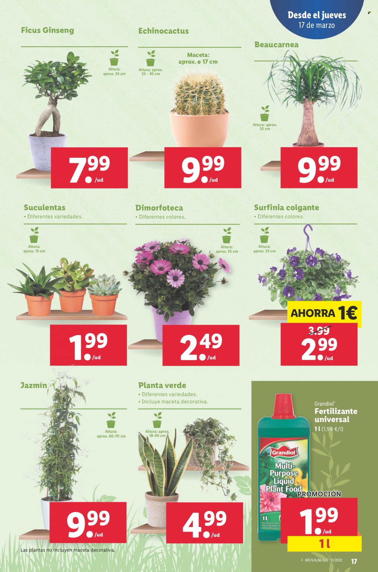 Folleto Lidl - 17/03/22 - 23/03/22. Página 17