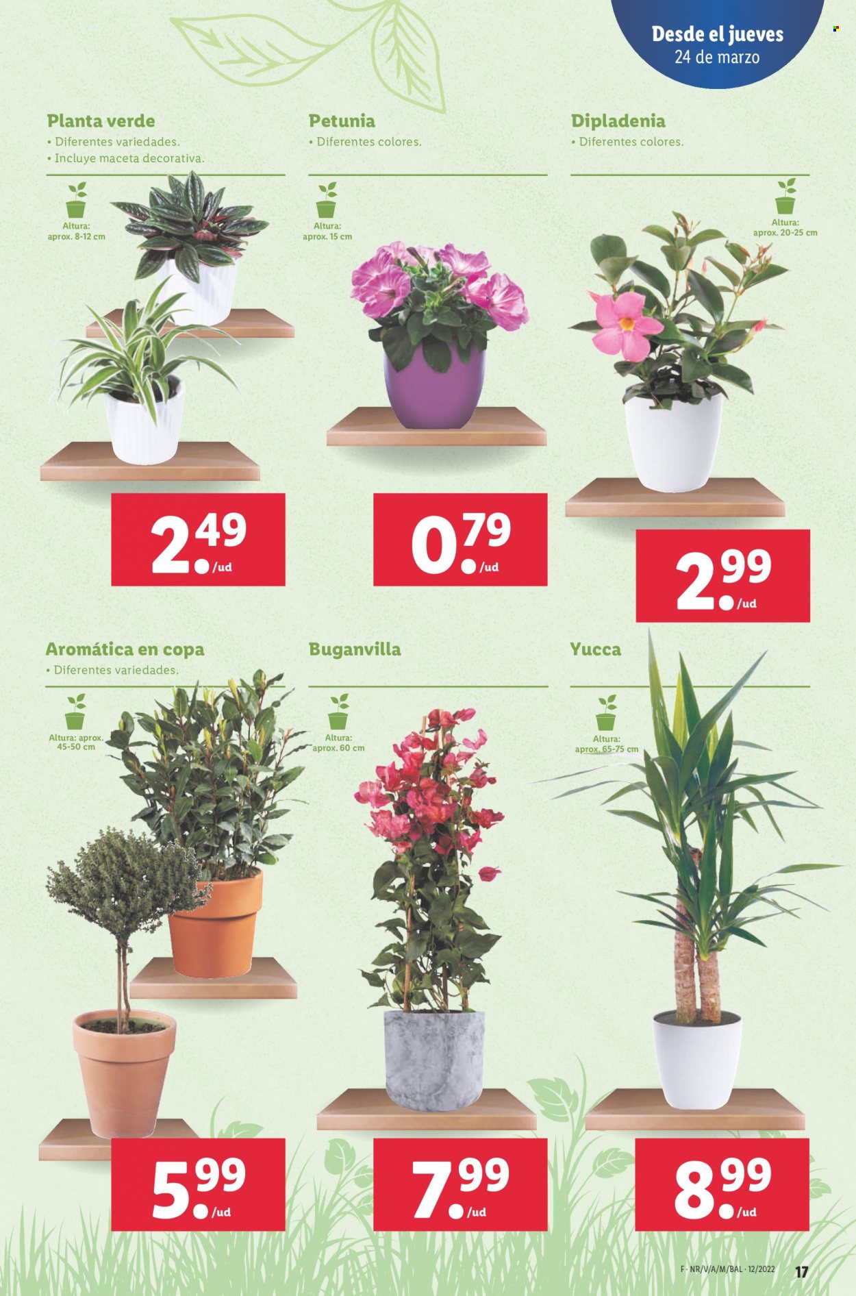 Folleto Lidl - 24/03/22 - 30/03/22. Página 17