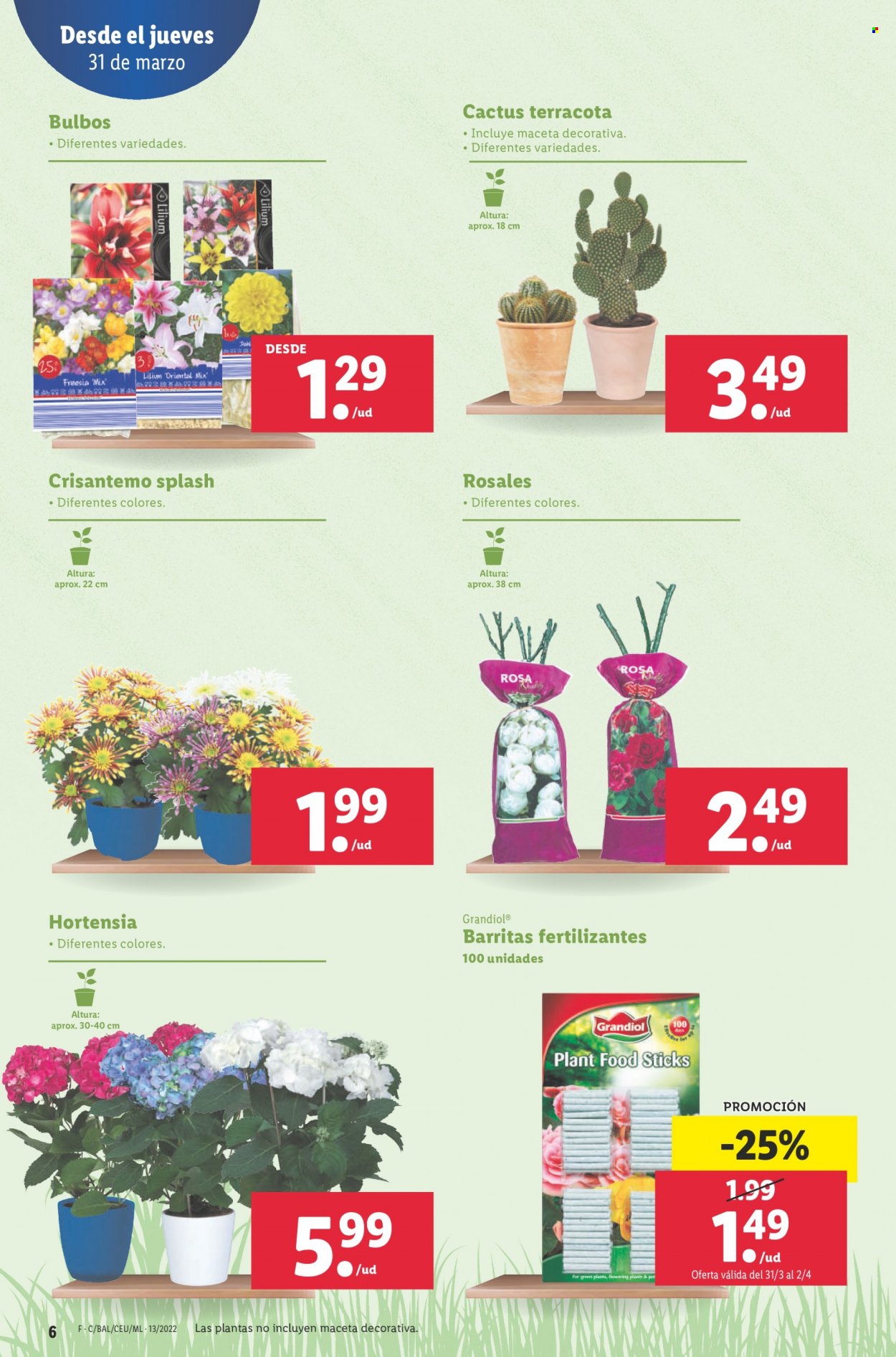 Folleto Lidl - 31/03/22 - 06/04/22. Página 6