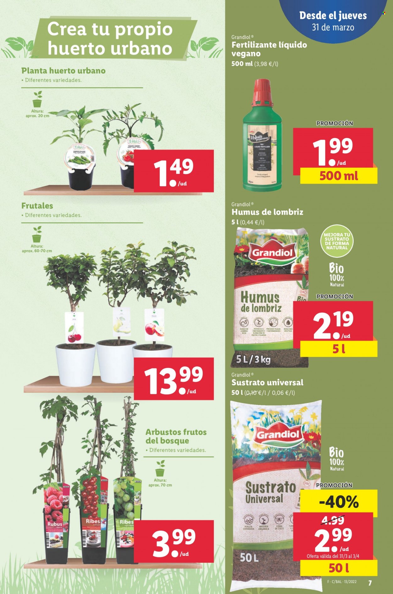 Folleto Lidl - 31/03/22 - 06/04/22. Página 7