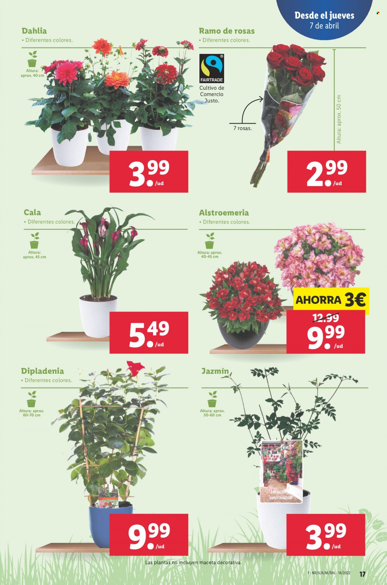 Folleto Lidl - 07/04/22 - 13/04/22. Página 17