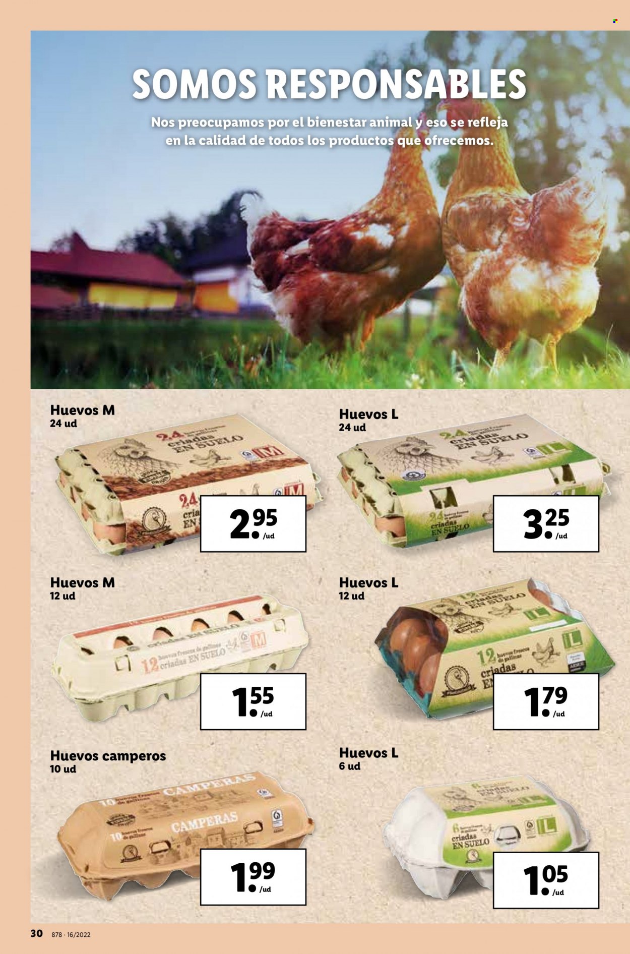 Folleto Lidl - 21/04/22 - 27/04/22. Página 30