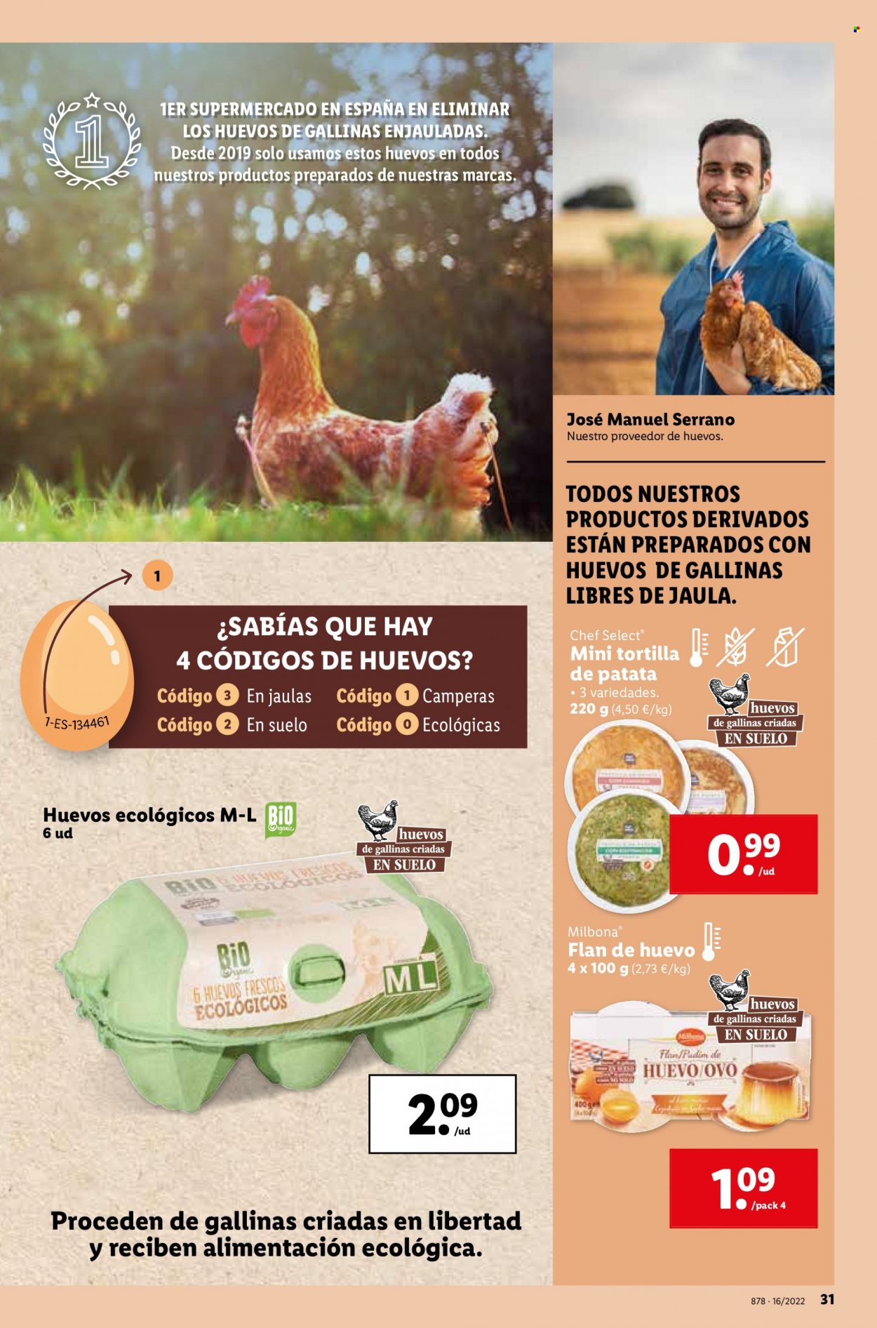 Folleto Lidl - 21/04/22 - 27/04/22. Página 31